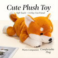 Shiba Inu