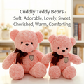 Scarf Bear