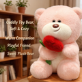 Chocolate Bear