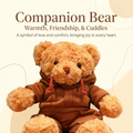 Sport Bear